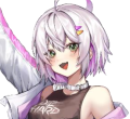 student image